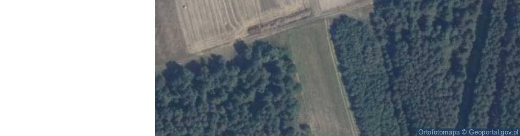 Zdjęcie satelitarne Borowska ul.
