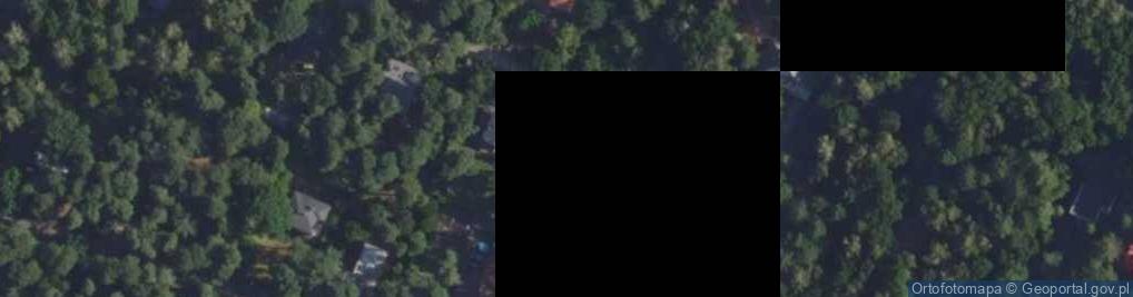 Zdjęcie satelitarne Borsucza ul.