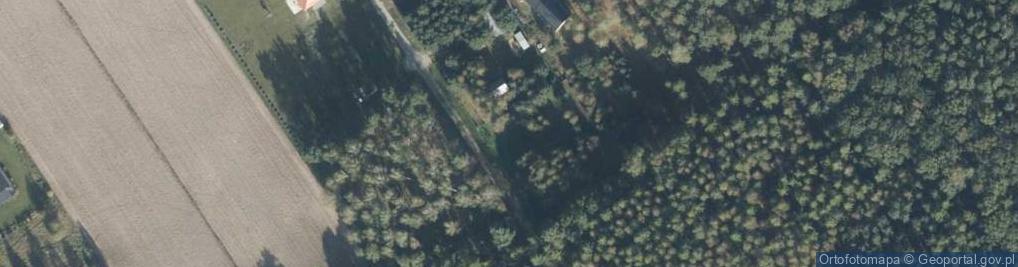 Zdjęcie satelitarne Borów Tucholskich ul.