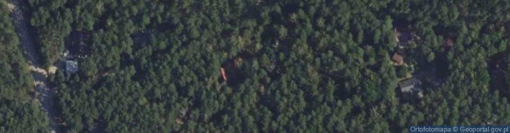 Zdjęcie satelitarne Borówkowa ul.