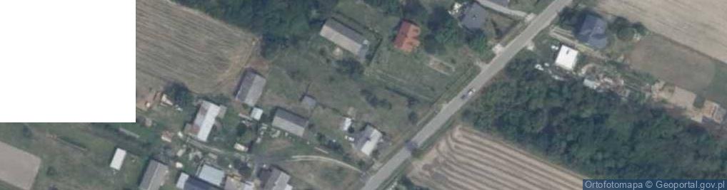 Zdjęcie satelitarne Borki ul.