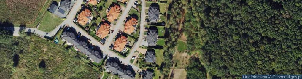Zdjęcie satelitarne Borowików ul.
