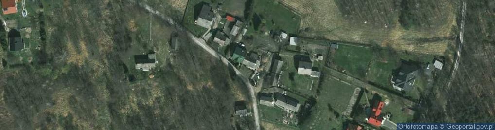 Zdjęcie satelitarne Borki ul.
