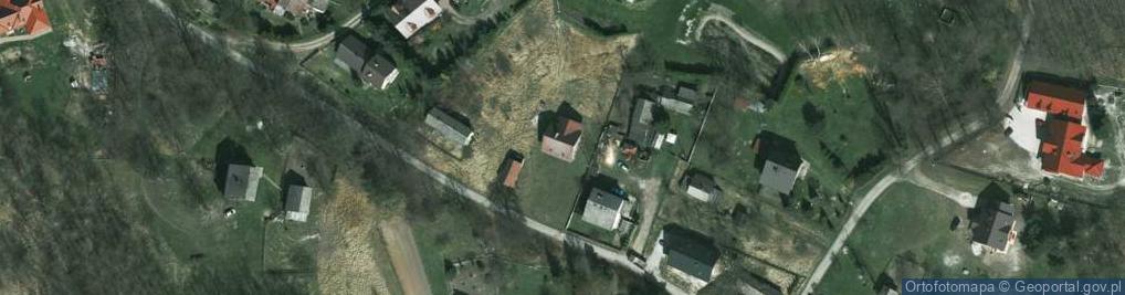 Zdjęcie satelitarne Borki ul.
