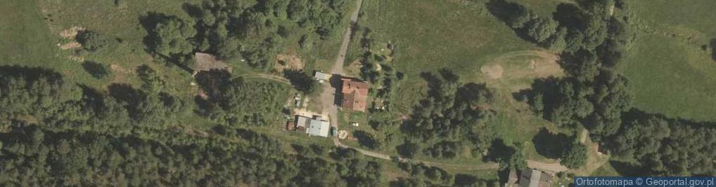 Zdjęcie satelitarne Borowska ul.