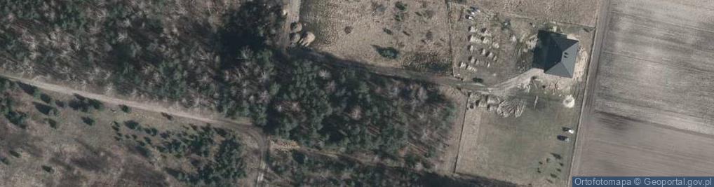 Zdjęcie satelitarne Borkowa ul.