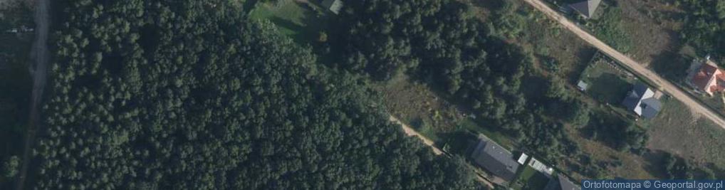 Zdjęcie satelitarne Borowikowa ul.