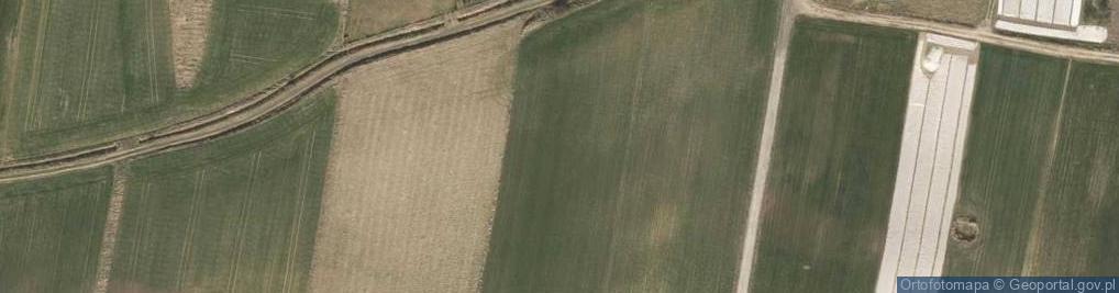 Zdjęcie satelitarne Borowikowa ul.