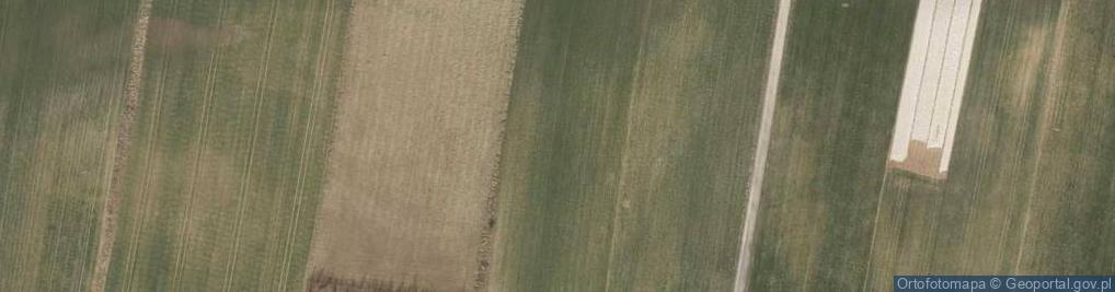 Zdjęcie satelitarne Borowikowa ul.