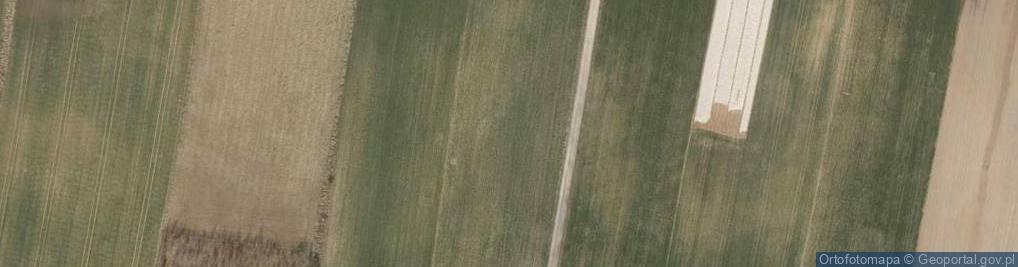 Zdjęcie satelitarne Borowikowa ul.