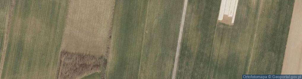 Zdjęcie satelitarne Borowikowa ul.