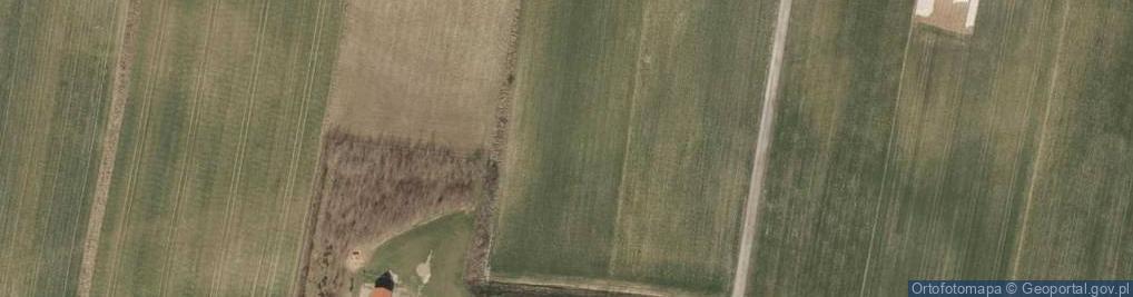 Zdjęcie satelitarne Borowikowa ul.