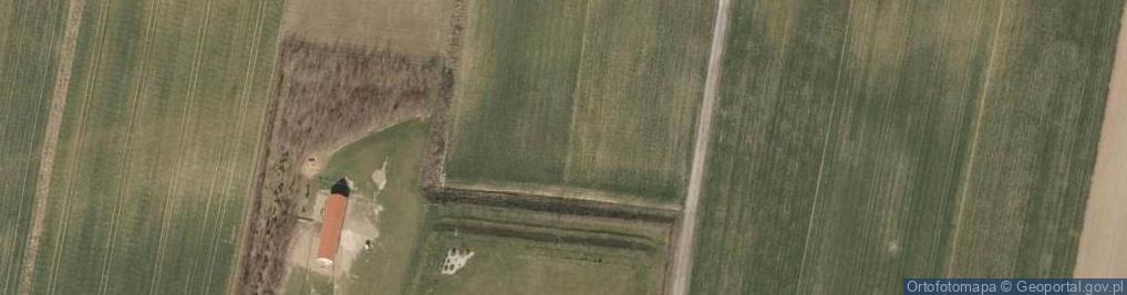 Zdjęcie satelitarne Borowikowa ul.