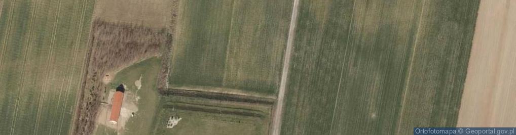 Zdjęcie satelitarne Borowikowa ul.