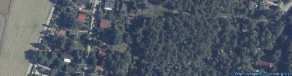 Zdjęcie satelitarne Botaniczna ul.