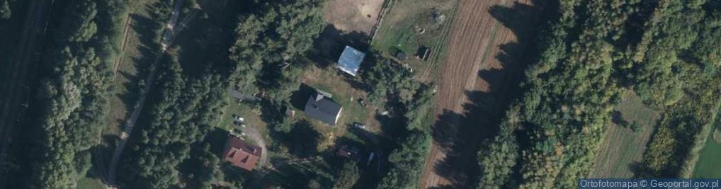 Zdjęcie satelitarne Boryszewska ul.