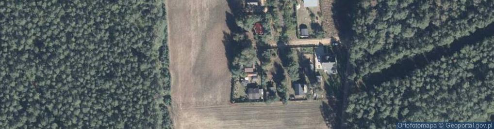 Zdjęcie satelitarne Borowikowa ul.