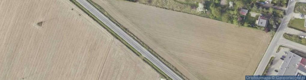 Zdjęcie satelitarne Borowska ul.