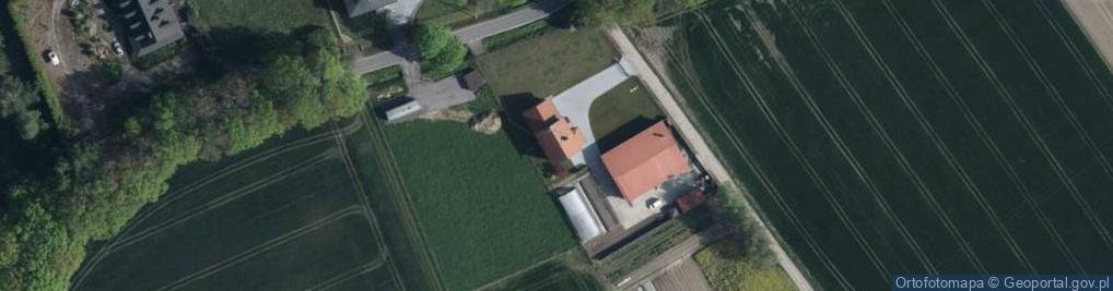 Zdjęcie satelitarne Borki ul.