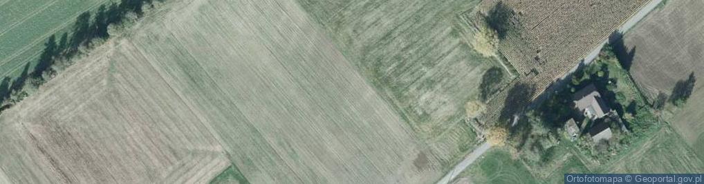 Zdjęcie satelitarne Borsuków ul.