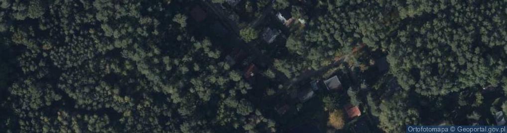 Zdjęcie satelitarne Borówkowa ul.