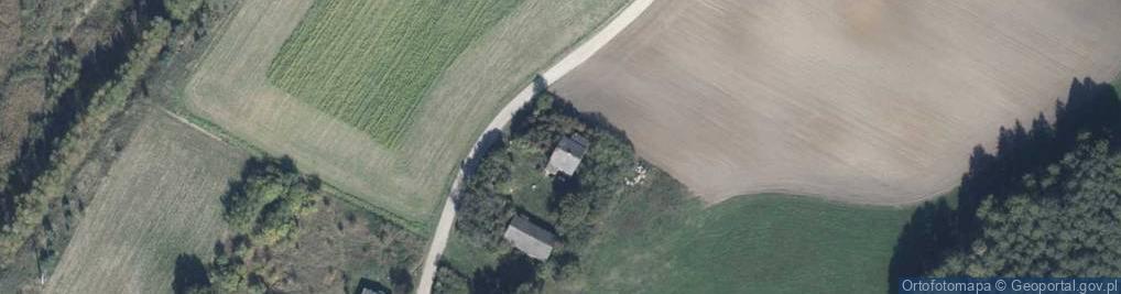 Zdjęcie satelitarne Borówko ul.