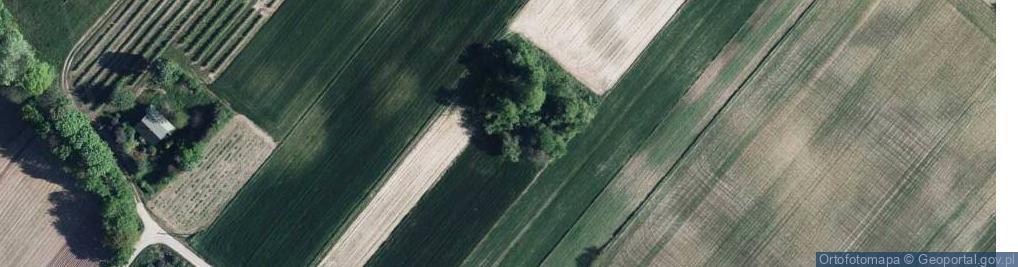 Zdjęcie satelitarne Bronice ul.