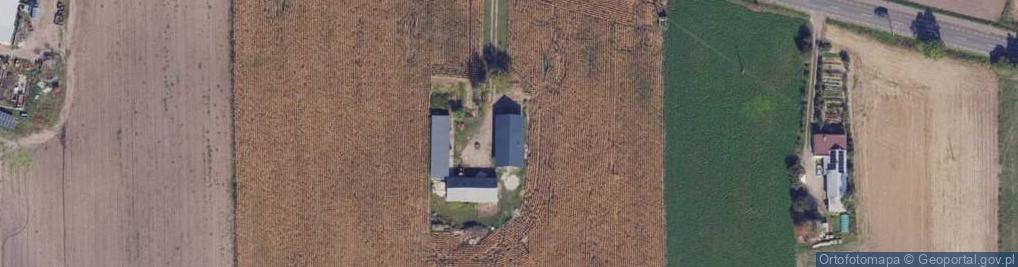 Zdjęcie satelitarne Bronisław ul.