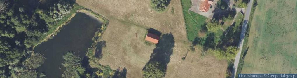 Zdjęcie satelitarne Bronisław ul.