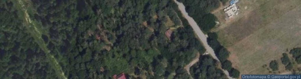 Zdjęcie satelitarne Bronisławów ul.