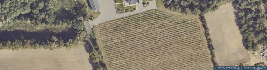 Zdjęcie satelitarne Brudzew ul.