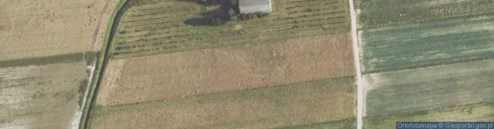 Zdjęcie satelitarne Brudzew ul.