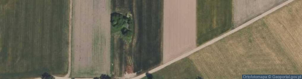 Zdjęcie satelitarne Bruszewo ul.