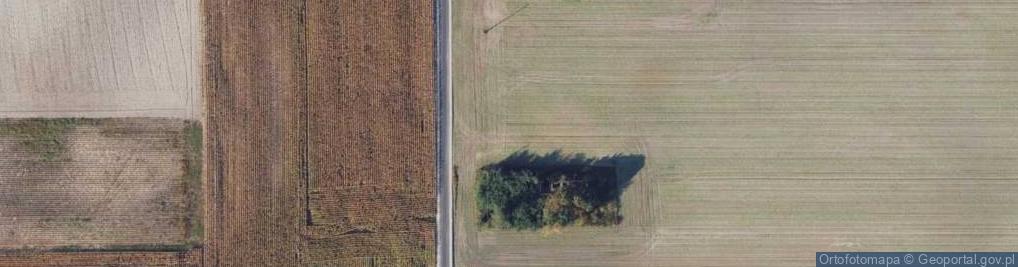 Zdjęcie satelitarne Brylewo ul.