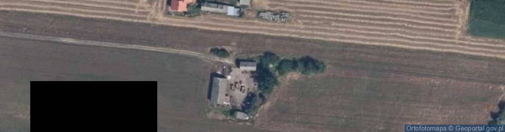 Zdjęcie satelitarne Brzechowo ul.