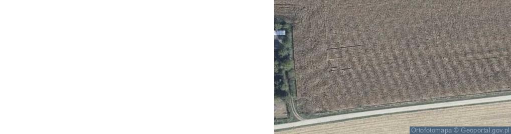 Zdjęcie satelitarne Brzekiniec ul.