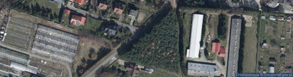 Zdjęcie satelitarne Brzegowa ul.