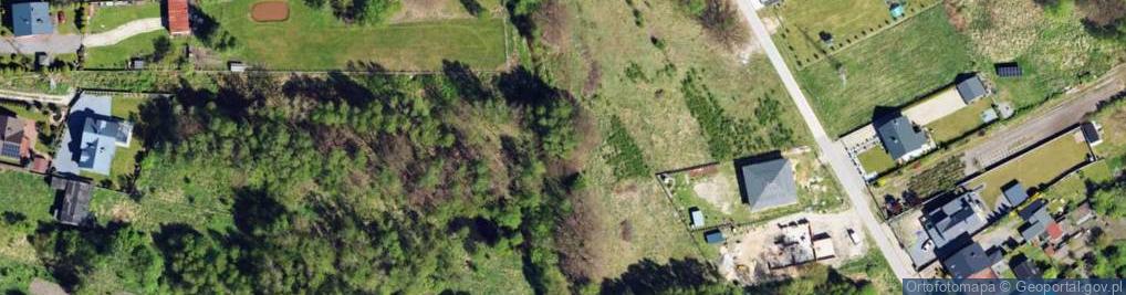 Zdjęcie satelitarne Brzeziny Nowe ul.