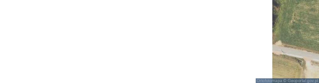 Zdjęcie satelitarne Brzeziny ul.