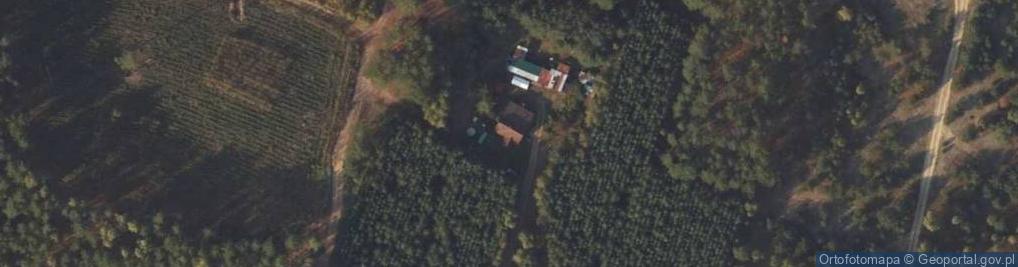 Zdjęcie satelitarne Brzozie ul.