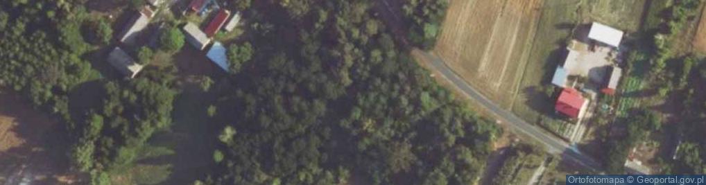 Zdjęcie satelitarne Brzózki ul.