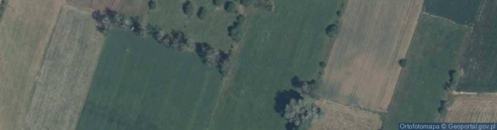 Zdjęcie satelitarne Brzozów ul.