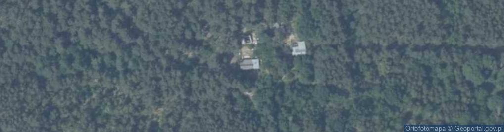 Zdjęcie satelitarne Brzustów ul.