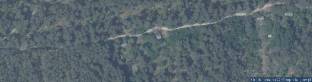 Zdjęcie satelitarne Brzustów ul.