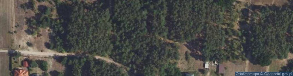 Zdjęcie satelitarne Brzozowa ul.