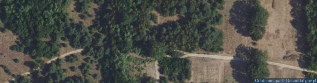 Zdjęcie satelitarne Brzozowa ul.