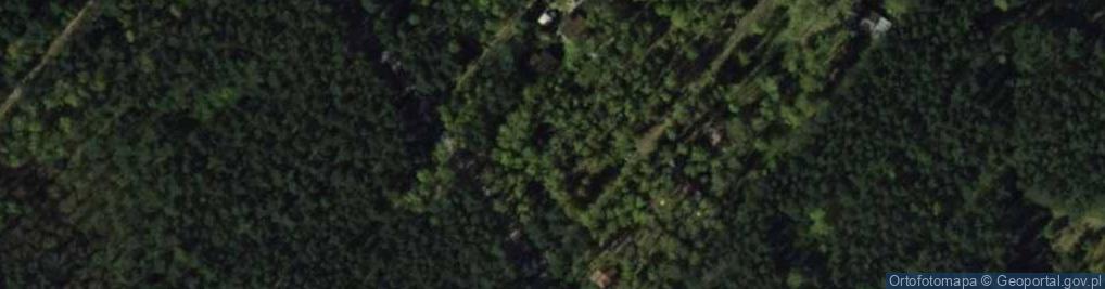 Zdjęcie satelitarne Brzozowa ul.