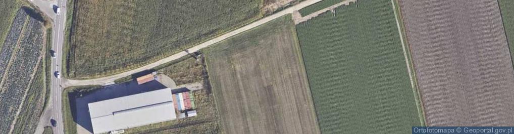 Zdjęcie satelitarne Brzegowa ul.