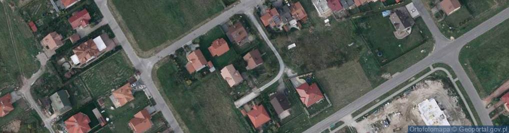 Zdjęcie satelitarne Brzuzy Andrzeja ul.