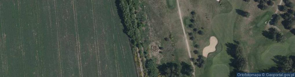 Zdjęcie satelitarne Brzozowy Zagajnik ul.